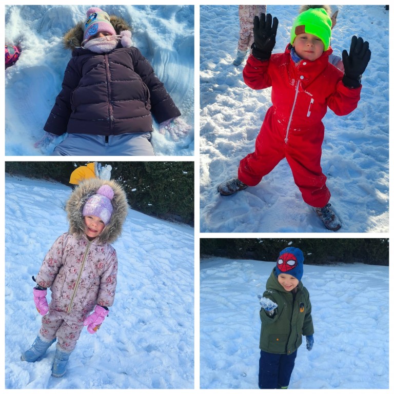 Zimowe zabawy kotków 